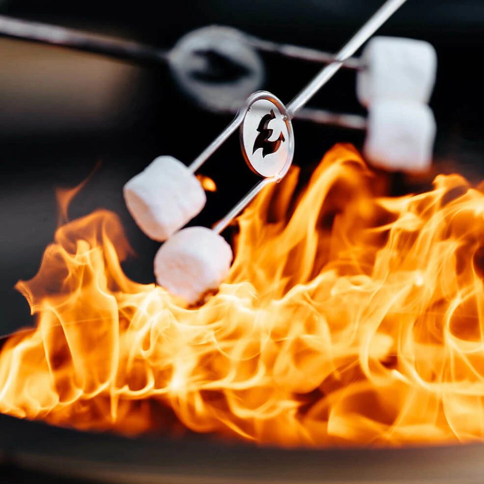 Outdoor Cooking Solo Stove Ranger Accessory Bundle 12 Outdoor Cooking Solo Stove Ranger Accessory Bundle