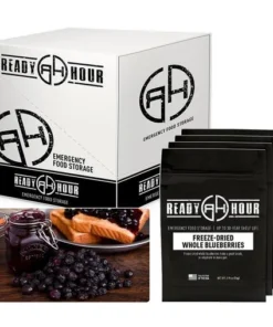 Fruits Ready Hour Freeze-Dried Blueberries Case