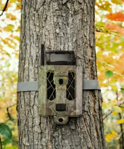 SPYPOINT STEEL SECURITY BOX FOR 42 LEDS SPYPOINT CAMERAS 21 SPYPOINT STEEL SECURITY BOX FOR 42 LEDS SPYPOINT CAMERAS