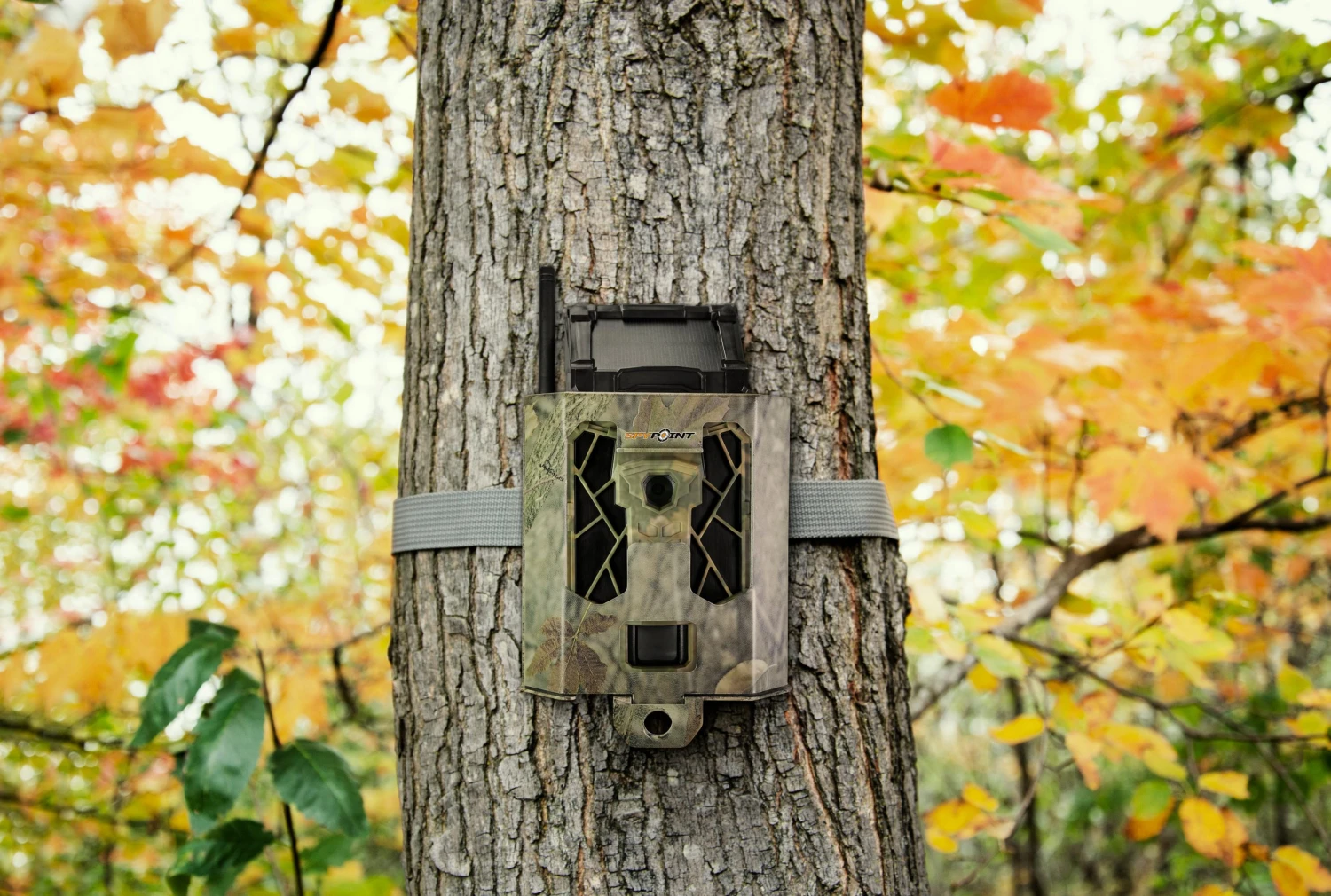 SPYPOINT STEEL SECURITY BOX FOR 42 LEDS SPYPOINT CAMERAS 11 SPYPOINT STEEL SECURITY BOX FOR 42 LEDS SPYPOINT CAMERAS