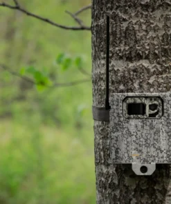 SPYPOINT 4 - LED CAMERA SECURITY BOX