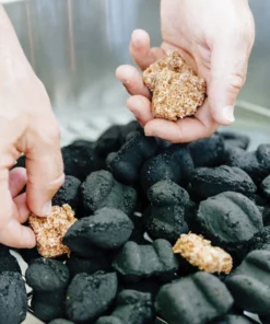 Solo Stove Starters Gear 12 Solo Stove Starters Gear