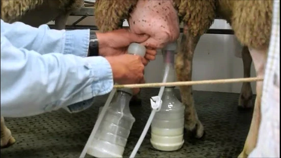 Udderly EZ EZ - ULTIMATE EZ MILKER Home, Farm & Garden 4 Udderly EZ EZ - ULTIMATE EZ MILKER Home, Farm & Garden