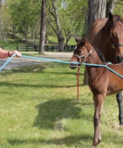 Udderly EZ EZ BUCK-A-LONG TRAINING ROPE 5 Udderly EZ EZ BUCK-A-LONG TRAINING ROPE