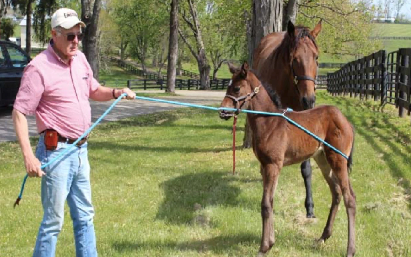 Udderly EZ EZ BUCK-A-LONG TRAINING ROPE 3 Udderly EZ EZ BUCK-A-LONG TRAINING ROPE