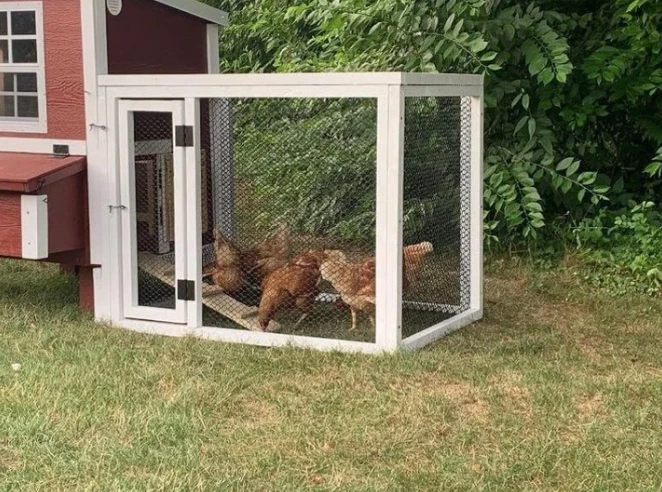 OverEZ Chicken Coops OverEZ Coop In A Box 7 OverEZ Chicken Coops OverEZ Coop In A Box