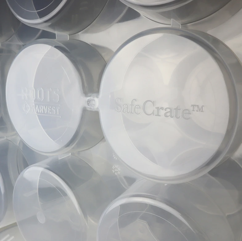 Roots & Harvest Safe Crate For Quart Jars Food & Food Storage 5 Roots & Harvest Safe Crate For Quart Jars Food & Food Storage