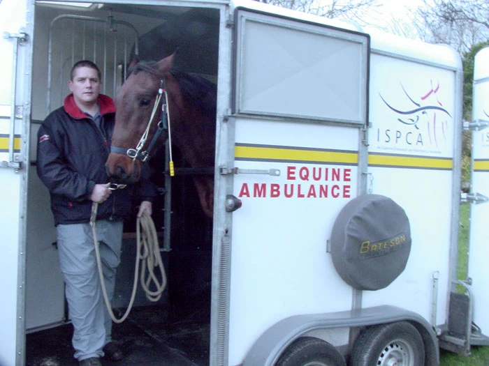 Udderly EZ EZ - THE STABLEIZER 3 Udderly EZ EZ - THE STABLEIZER