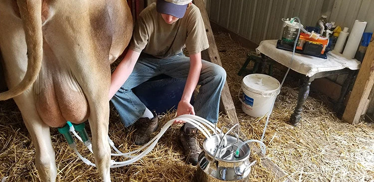 Udderly EZ EZ - ULTIMATE EZ MILKER BUCKETS Home, Farm & Garden 5 Udderly EZ EZ - ULTIMATE EZ MILKER BUCKETS Home, Farm & Garden