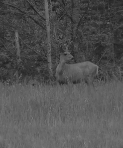 X-Vision Night Vision Binoculars Pro-XANB20 Gear