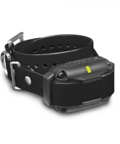 DOGTRA EDGE ADDITIONAL RECEIVER Dogs