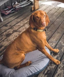 Klymit Moon Dog Bed 19 Klymit Moon Dog Bed