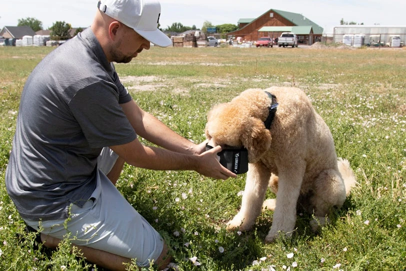Klymit Travel Dog Bowl Dogs 5 Klymit Travel Dog Bowl Dogs