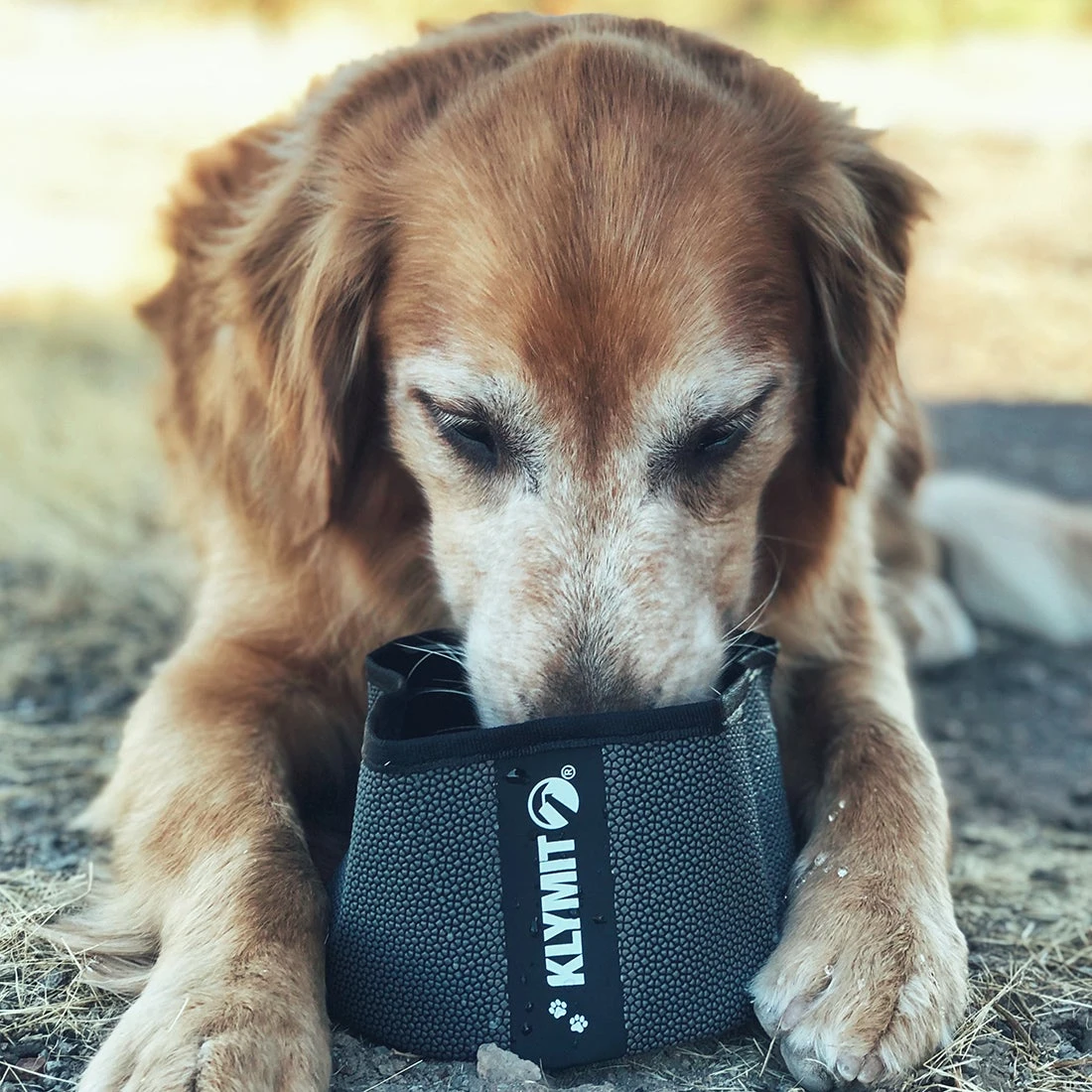 Klymit Travel Dog Bowl Dogs 3 Klymit Travel Dog Bowl Dogs