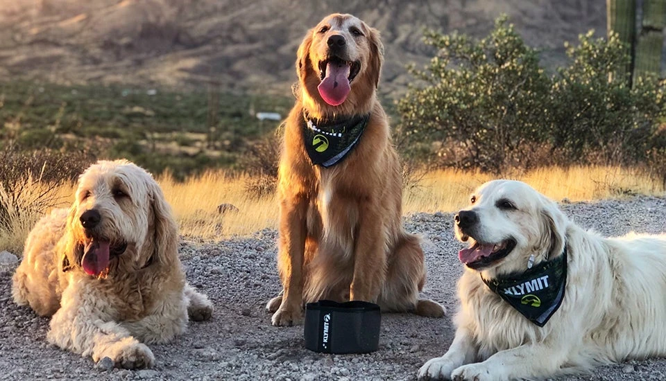 Klymit Travel Dog Bowl Dogs 4 Klymit Travel Dog Bowl Dogs