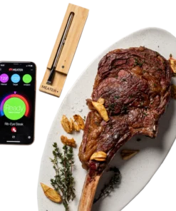 TRAEGER MEATER PLUS WIRELESS MEAT THERMOMETER Traeger Accessories