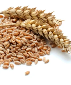 Augason Farms Hard White Wheat 11 Augason Farms Hard White Wheat